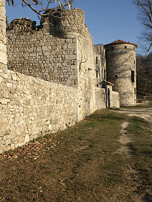 Le château de Craux et ses dépendances, côté ouest