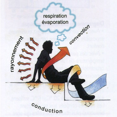 échanges thermiques entre l'homme et son environnement