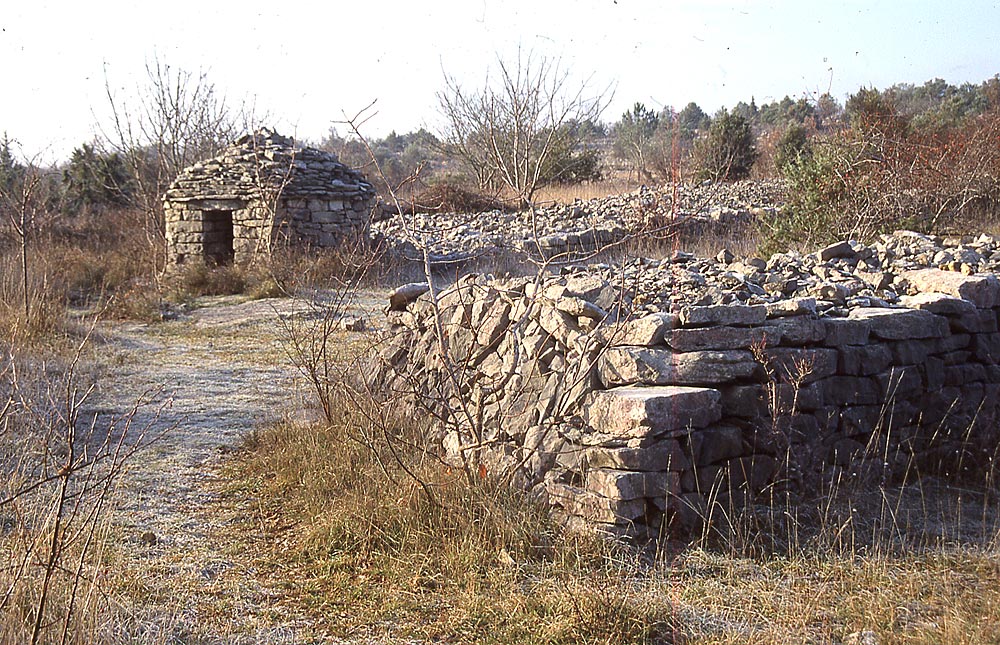 capitelle et mur d'épierrement