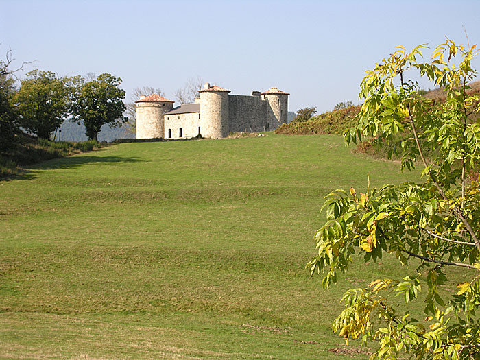 Le château de Craux dans son environnement de prairies