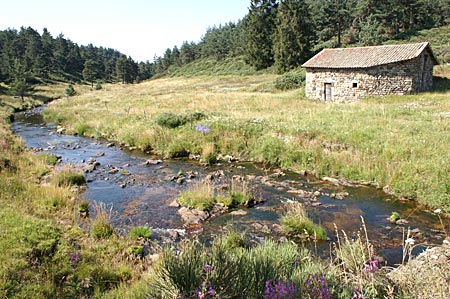 Le moulin de Courbet et la Langougnole