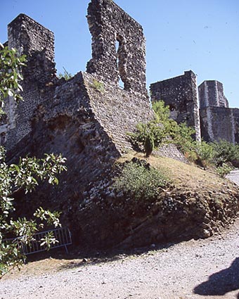 Vestiges de l'ensemble castral