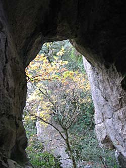 Bois de Païolive - Grotte de la Gleyzasse
