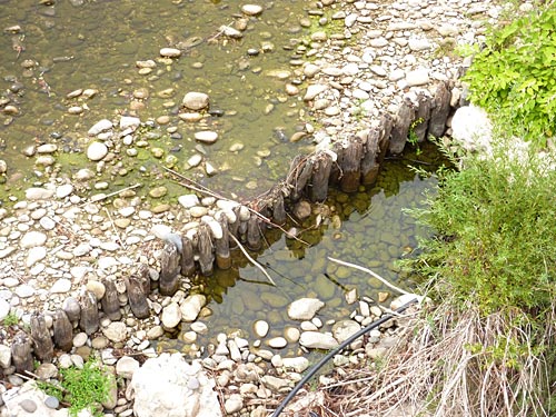 restes de pilotis incorporés dans le radier de protection des piles de l'ancien pont