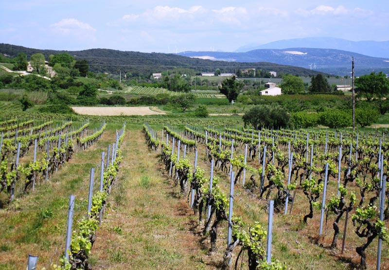 Paysage vu de St André