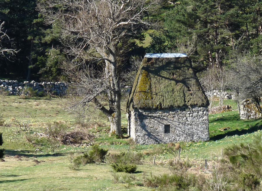 Moulin de la Cassonié