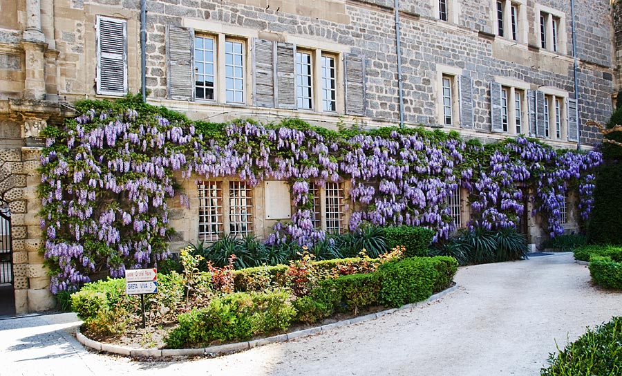 façade du lycée