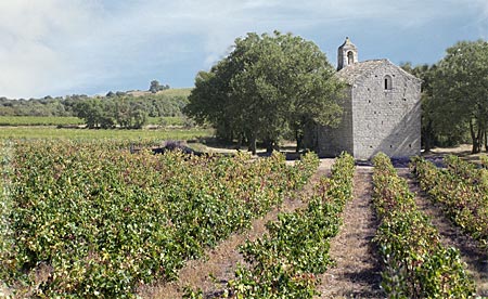 chapelle Saint-Sulpice de Trignan