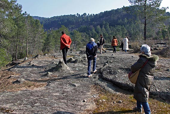 Vernon Les tétines